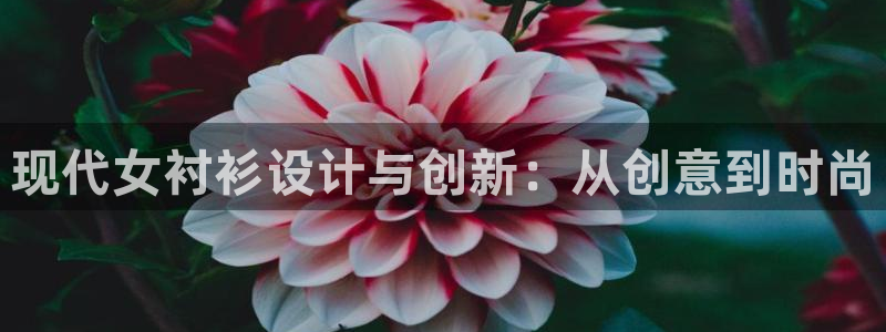 乐发旗下的平台有多少