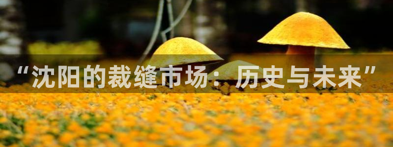 乐发大小单双平台