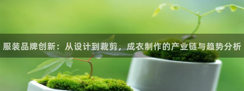 乐发官网平台