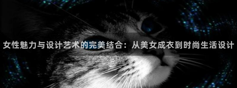 乐发平台邀请码全网最高
