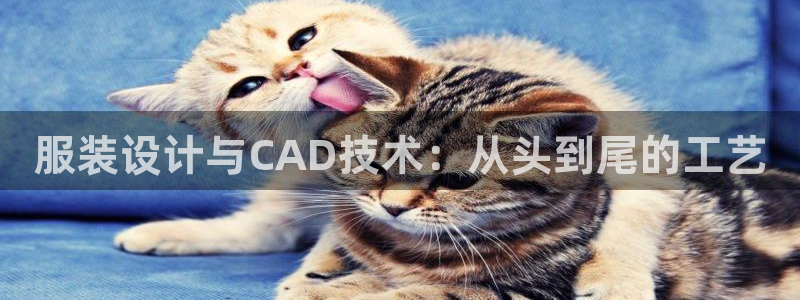 乐发彩票娱乐平台