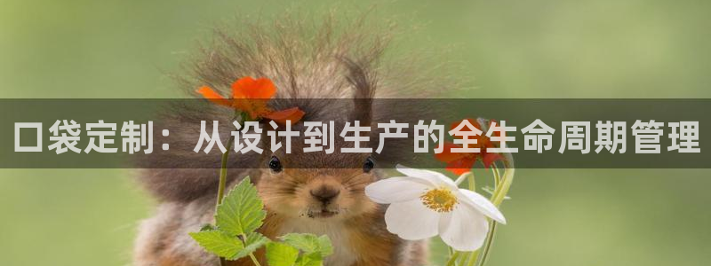 乐发大小单双平台